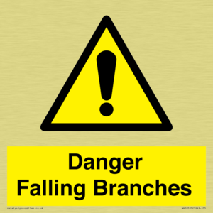 Danger Falling Branches